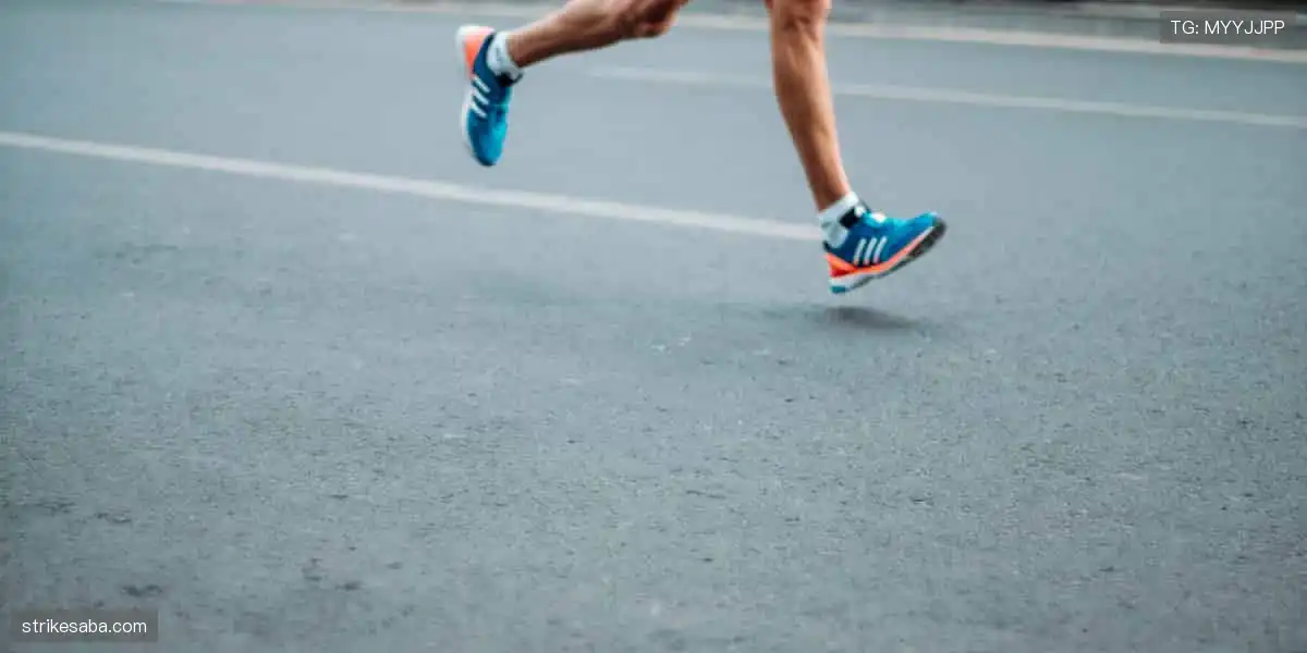 🏆【限量首发】冠军同款，专属你的荣耀珍藏！